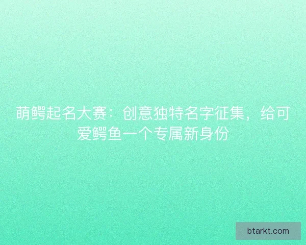 萌鳄起名大赛:创意独特名字征集,给可爱鳄鱼一个专属新身份 萌鳄起名大赛:创意独特名字征集,给可爱鳄鱼一个专属新身份